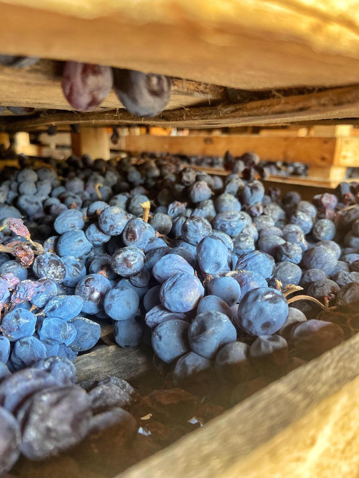 La Vineria Di San Mattia Villa Verona Exteriör bild