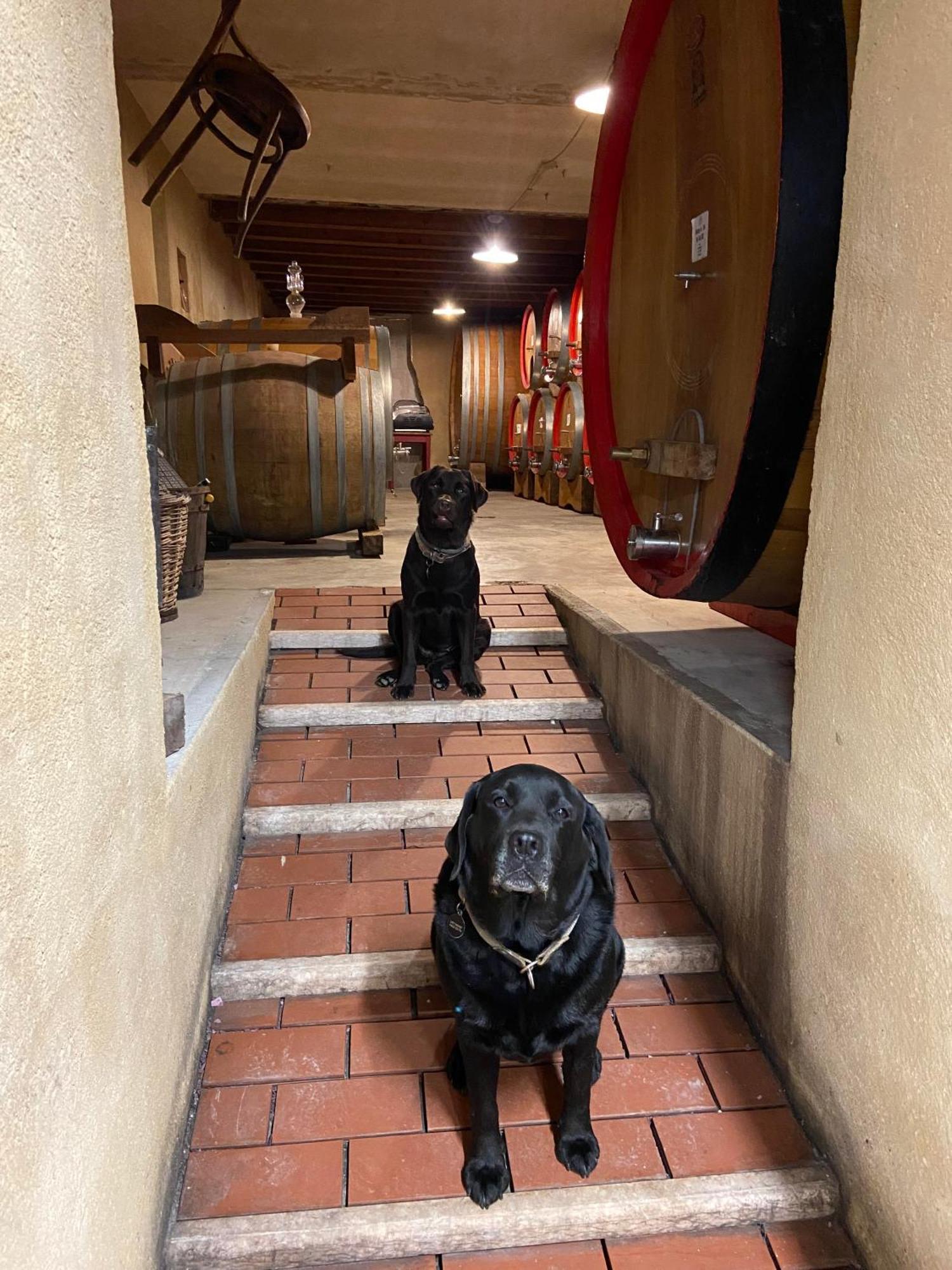 La Vineria Di San Mattia Villa Verona Exteriör bild
