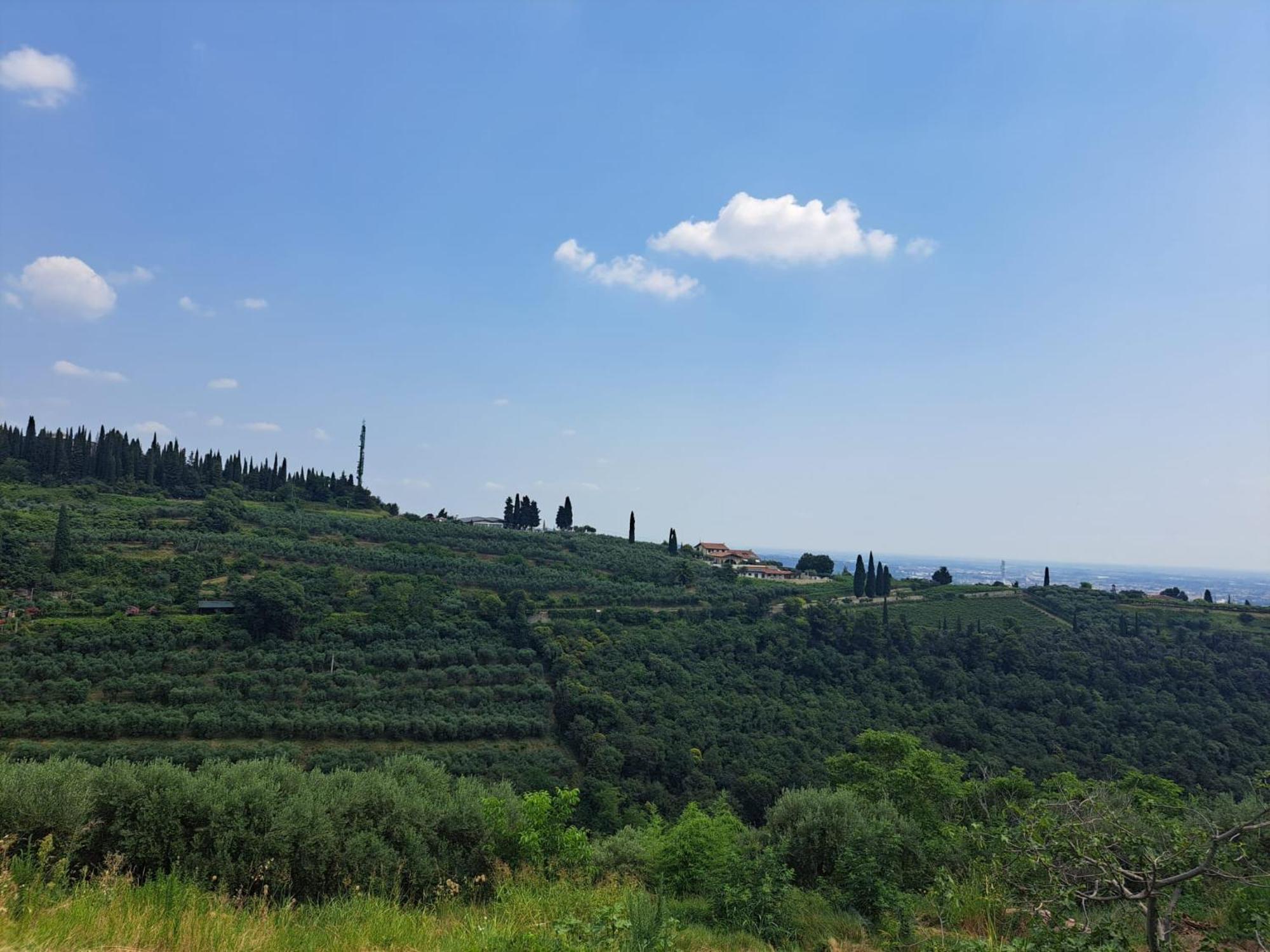 La Vineria Di San Mattia Villa Verona Rum bild